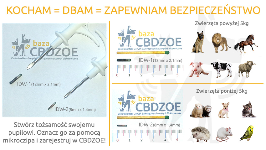 chipowanie zwierząt, bezpieczeństwo twojego pupila, chip dla małych zwierząt