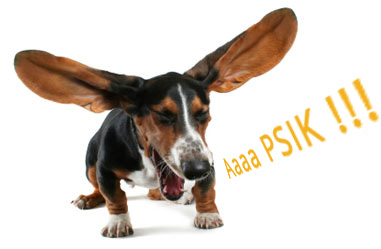 Alergie - artykuły CBDZOE