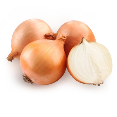 cebula