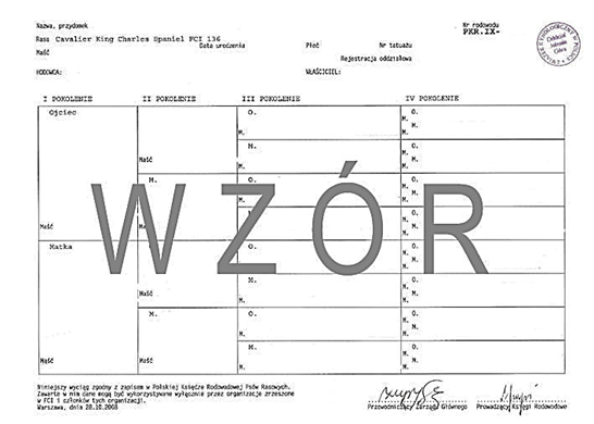 Wzór rodowodu ZKwP