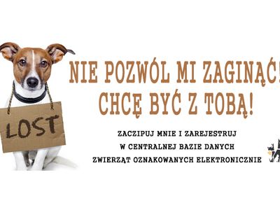 - 11 - CBDZOE