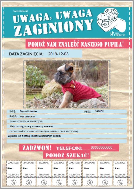 ZAGINĄŁ PIES!!! - artykuły CBDZOE