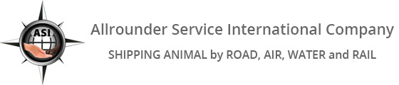 Allrounder Service International Company