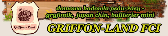 Baner Griffon-land