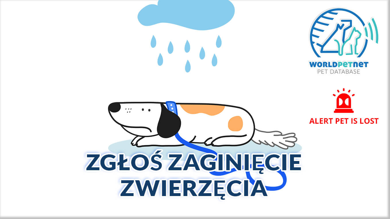 Światowa baza danych zwierząt z mikroczipem