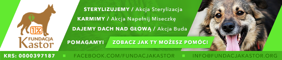 Fundacja KASTOR
