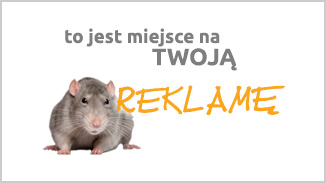 Światowa baza danych zwierząt z mikroczipem