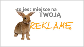Światowa baza danych zwierząt z mikroczipem