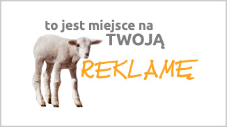 Światowa baza danych zwierząt z mikroczipem