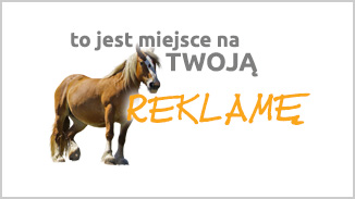 Światowa baza danych zwierząt z mikroczipem