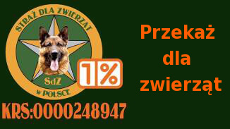 Światowa baza danych zwierząt z mikroczipem
